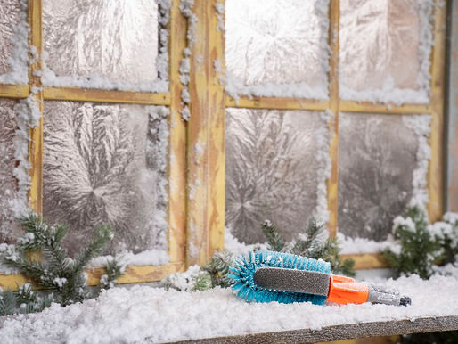 Februar ist so ein klassischer „Vorbereitungs- und Frühstarter-Monat“ im Garten 🌱Vieles läuft noch entspannt, aber ein paar Dinge lohnen sich jetzt richtig: