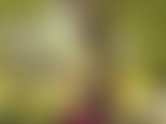 Der richtige Schnitt für eine gute Ernte