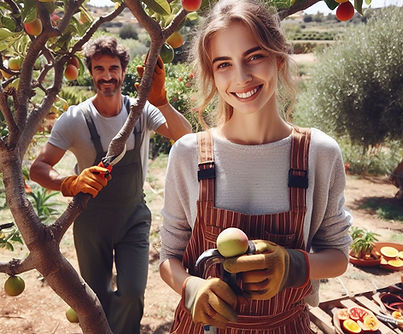 _6225c72d-f674-4cc4-ada2-f1e73beaff31.jfif