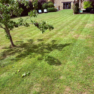 Lawn Care Advice by James Bayes – Keeping Gardens Green All Year