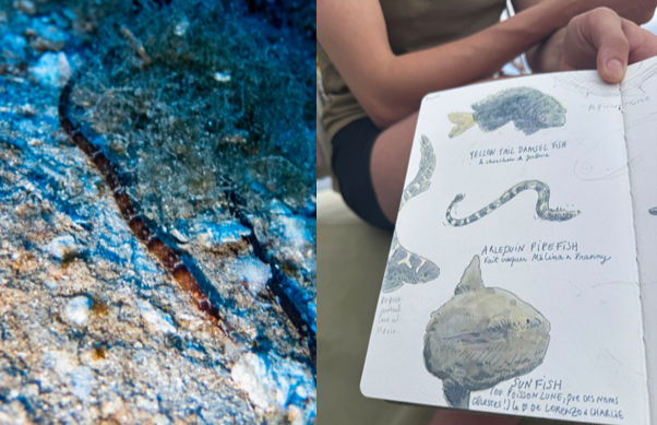 Photos: F. Krysiak. Art: E. Guillaume.