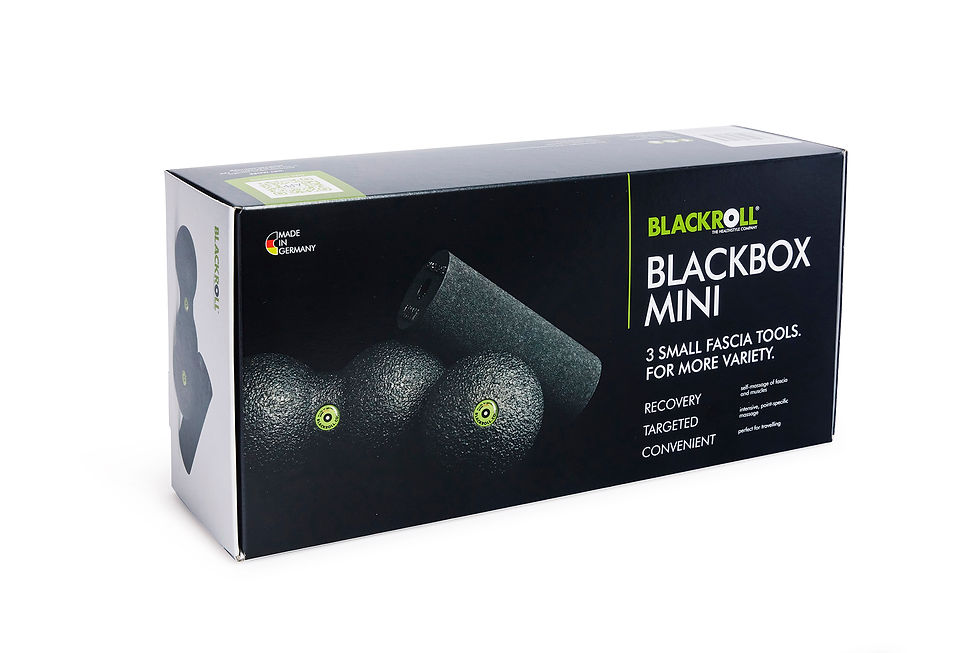 Miniaturbild: BLACKROLL® BLACKBOX MINI SET