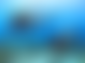 EXPLORING BONAIRE'S MESOPHOTIC CORAL REEFS