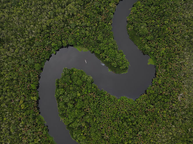 dji_fly_20221103_090416_454_1667484269900_photo.jpg