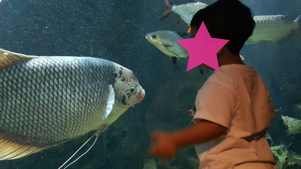 Someone enjoyed making funny faces 