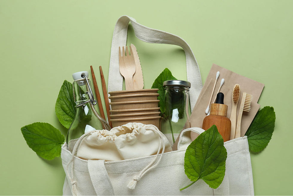 Sustainable swap-swap products with sustainable products.jpg