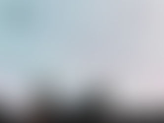 GUAVA International at Bloomberg New Economy Forum