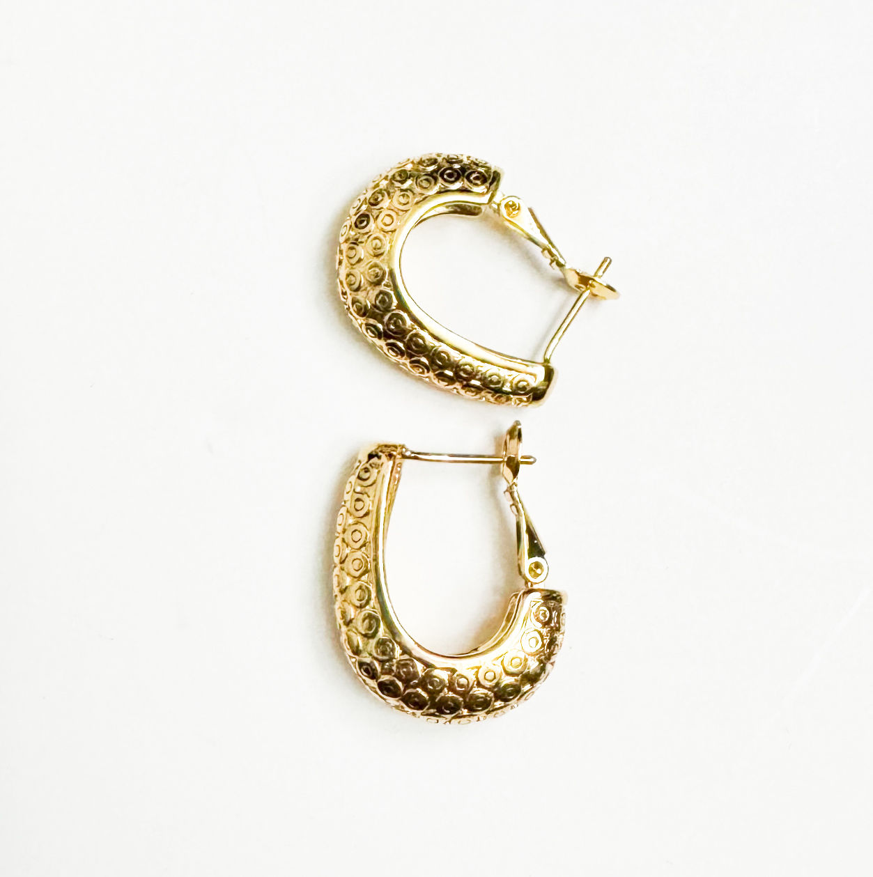 Goldfilled earrings 
