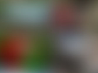 Spring Day Excursion Brochure 2021