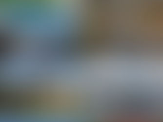 🚌 Our 2022 July - December Day Excursion Brochure is now available ONLINE. 🥳