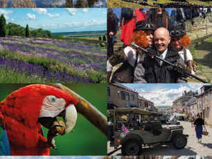 2021 Summer Day Excursion Brochure now available!