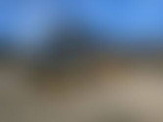 JH & Thirlwells Coaches return from tour