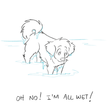 IMG_0341.PNG