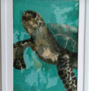 Sea Turtle Diamond Art Wall Decor: 13x17