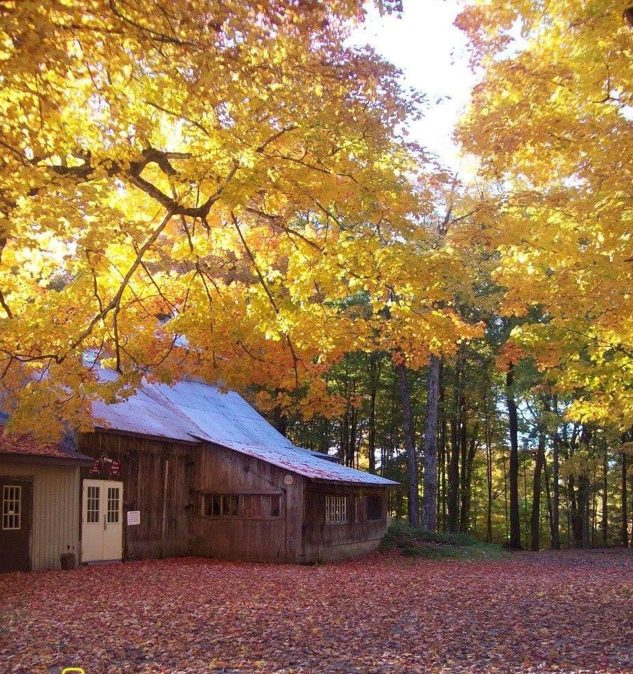 Cabane à sucre Bertrand 1.jpg