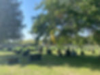 CEM766161_9e8c67ec-57c6-44d0-bd15-346ddc1228b1.jpeg