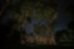 Landscape Lighting Design - Greg Yale - Landscape Lighting Designer