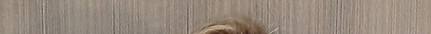 Claudia_Gomes 1