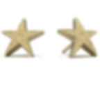 Gold Starfish Design Earrings