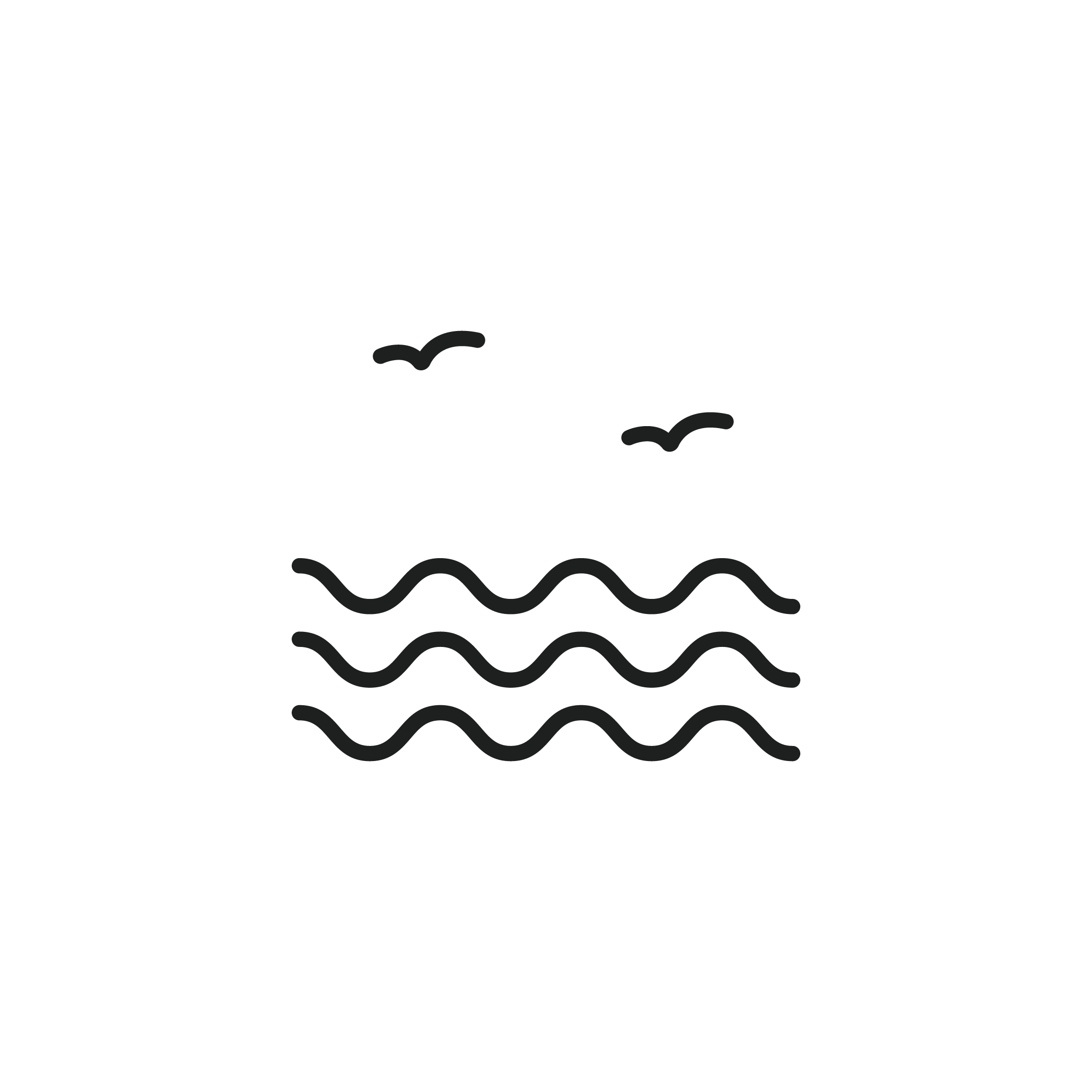 Paroa Bay Icons-28.png