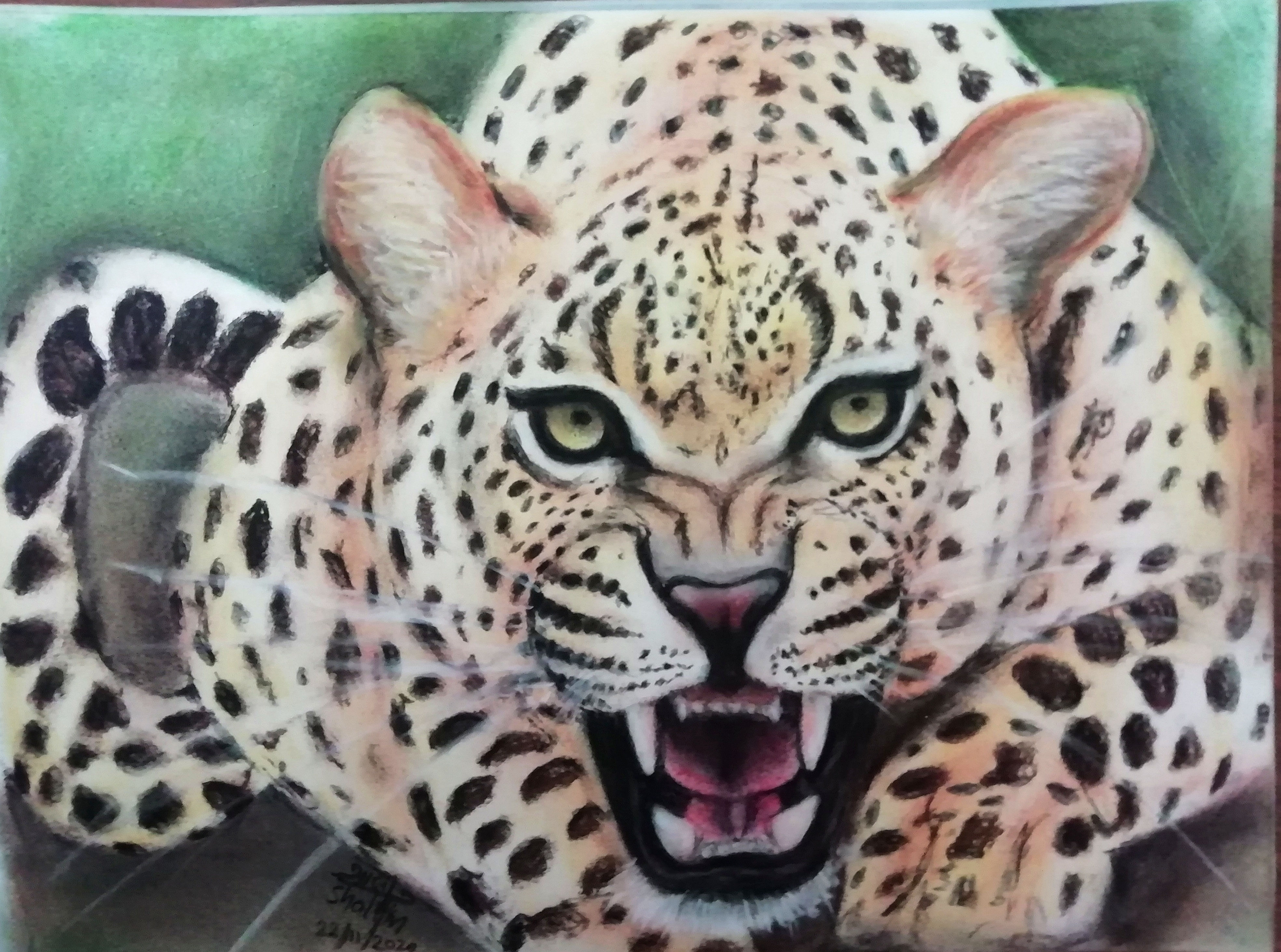 Fierce leopard
