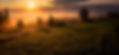 dawid-zawila--G3rw6Y02D0-unsplash_cut.jpg