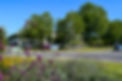 DSC_0035.jpg