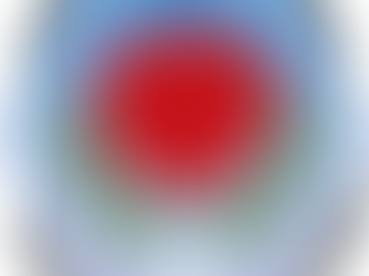 IPM’s Partnered Charity for 2025