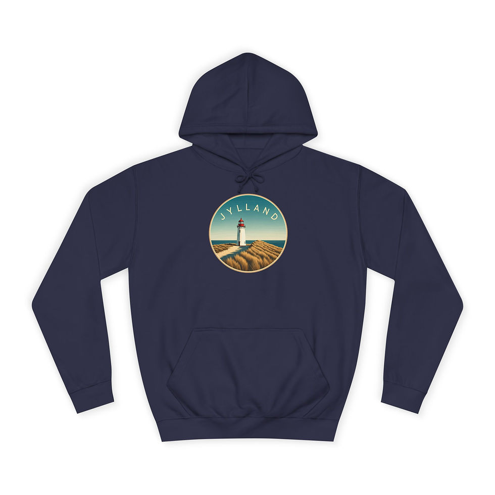 blauer Hoodie Dänemark