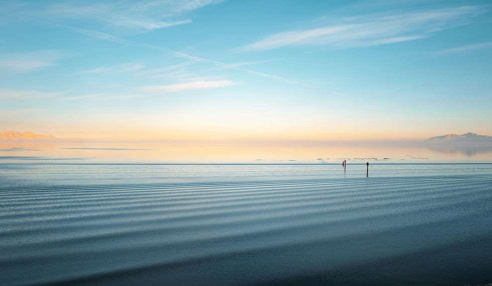 k-k-qeeRk-Rz5yE-unsplash.jpg