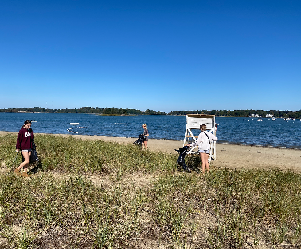 Hingham Harbor Cleanup