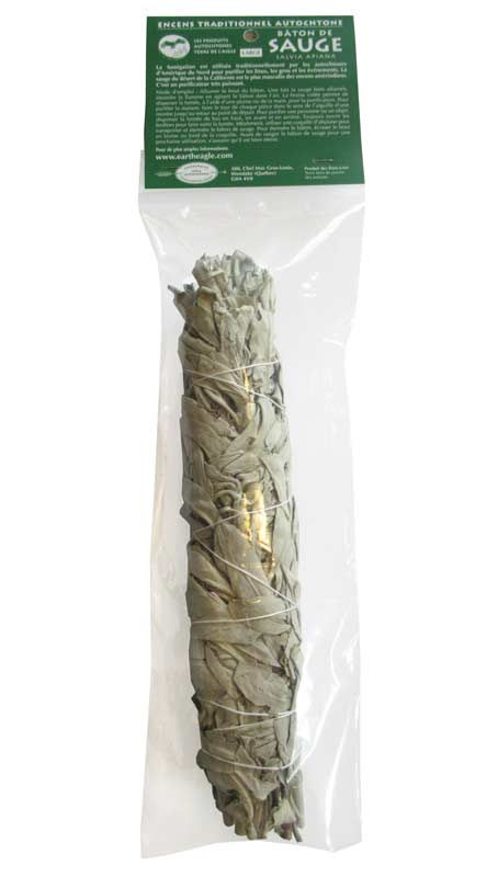 Miniature : BATON DE SAUGE BLANCHE SALVIA APIANA