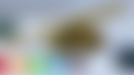 Cannabis buds and joint with Watertown, SD council ban text. Colorful leaf icons below. Logos on each side.