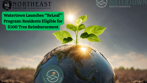 A young plant grows from a globe with sunlight behind. Text promotes Watertown's "ReLeaf" program for $100 tree reimbursement.