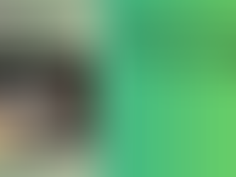 Cover of "My Journey: Learning to Triumph" shows a person in camo with a crossbow in a wheelchair. Text highlights themes of courage.