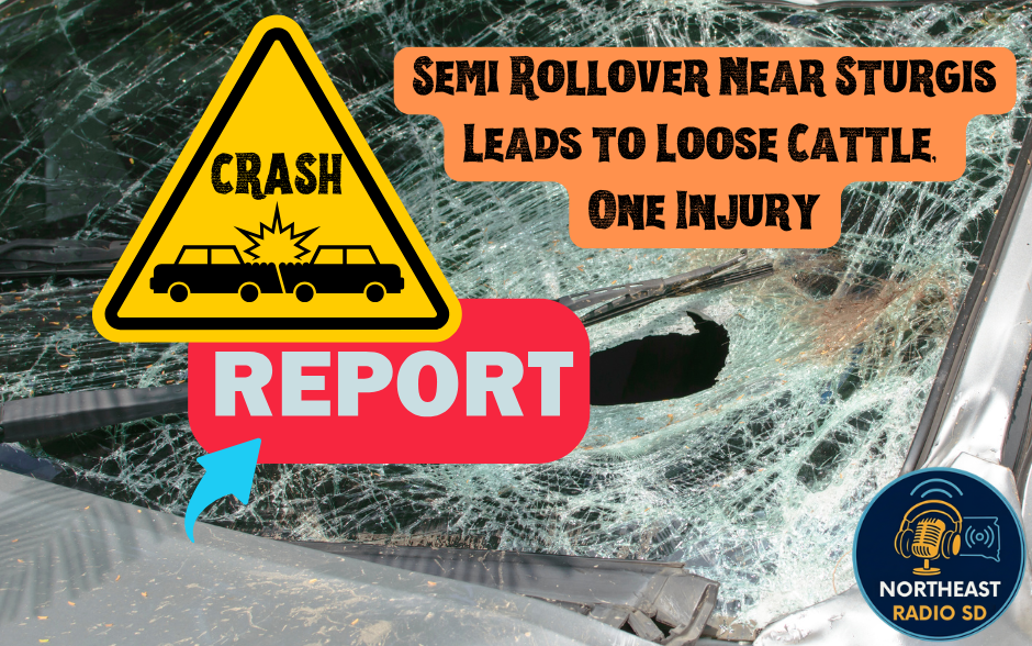 Yellow crash warning sign, text about semi rollover, and cattle near Sturgis. Cracked windshield in background. Report icon and radio logo.