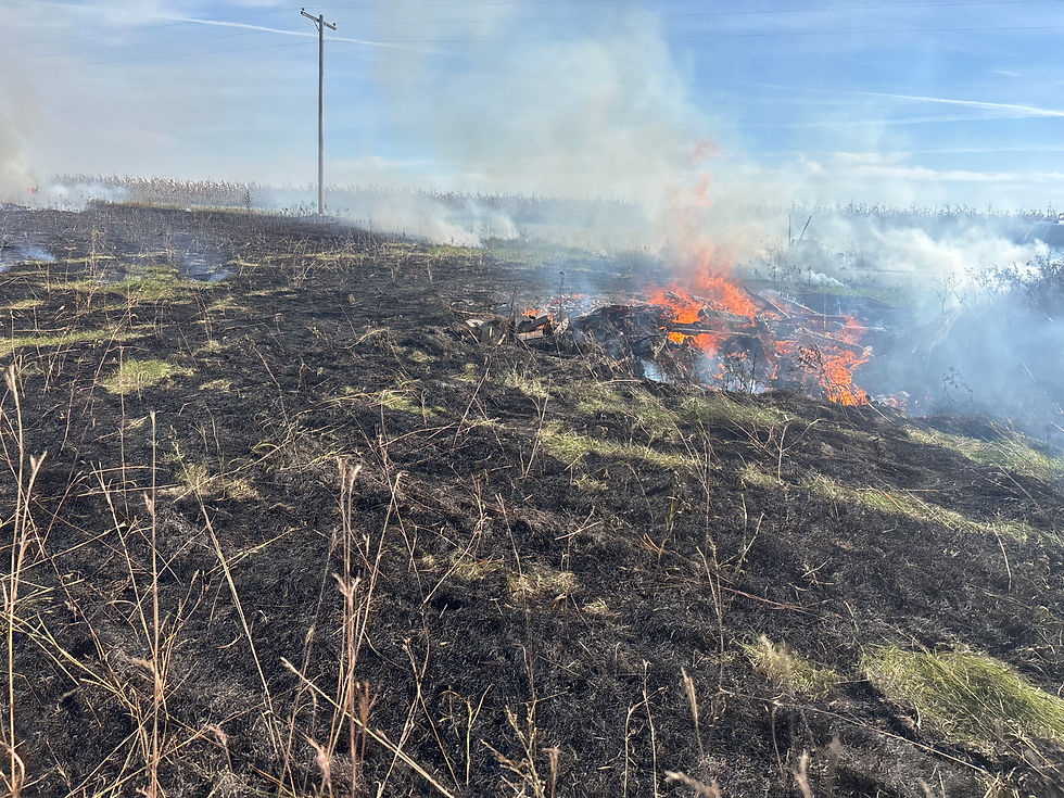 Grass fire burns through a charred field, sending thick white smoke into a blue sky beside a utility pole.