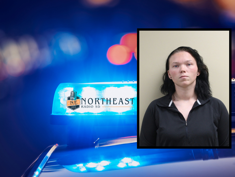 Police lights flash beside a mugshot of a woman; inset text reads NORTHEAST RADIO SD against a blue and red background.
