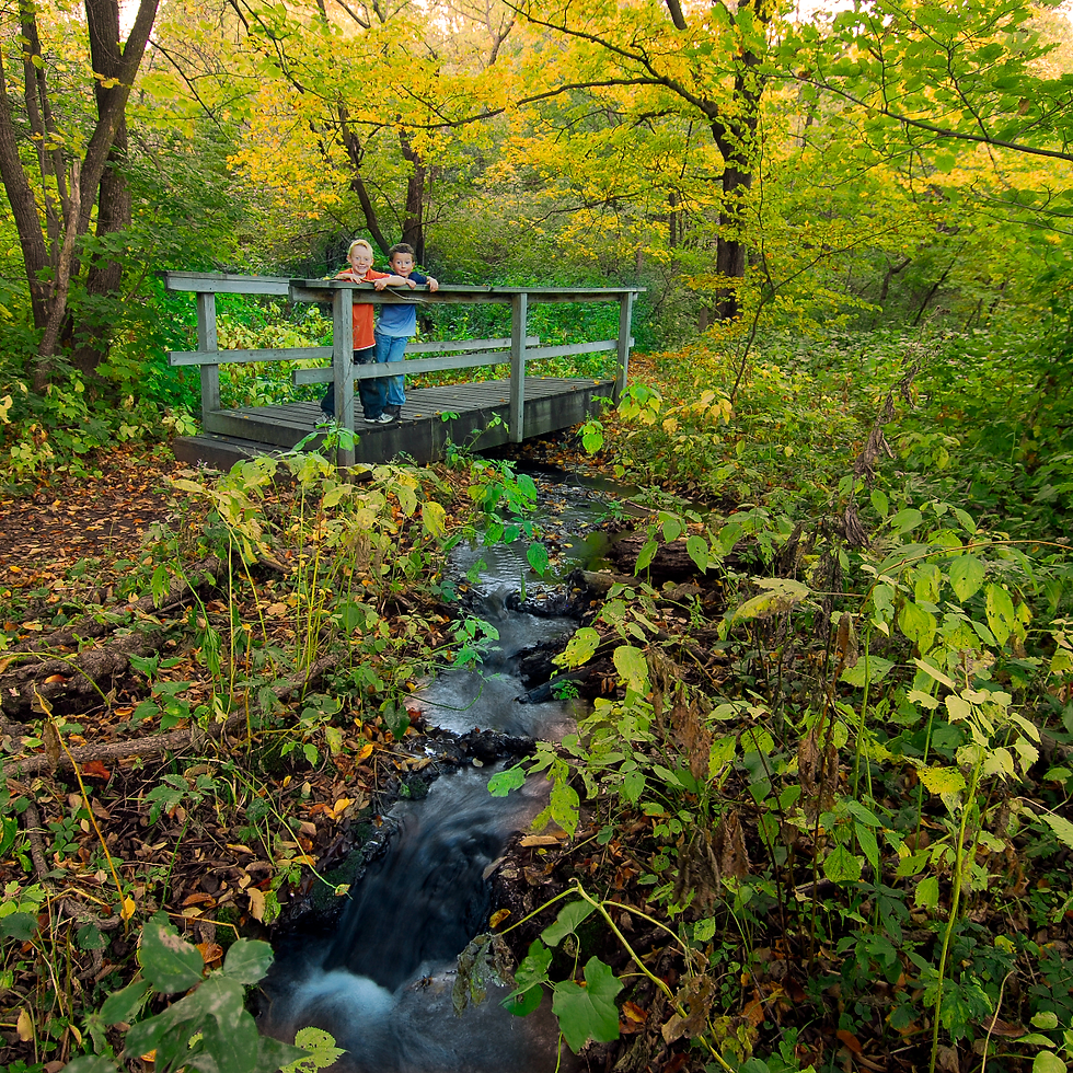 Two boys lean on a wooden bridge over a small creek in a colorful autumn forest, smiling amid green and yellow foliage.