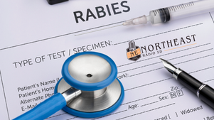 Rabies test form with syringe, stethoscope and pen on paperwork, showing Northeast Radio SD logo.
