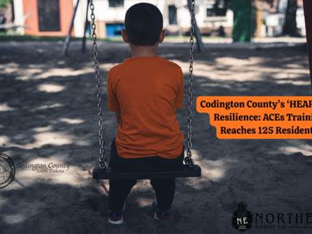 A child in an orange shirt sits on a swing in a playground. Text reads: Codington County’s 'HEART' for Resilience: ACEs Training Reaches 125 Residents.