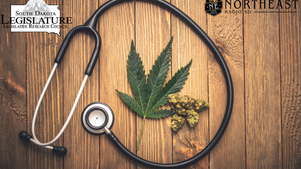 Stethoscope circles a cannabis leaf and buds on a wood table, with South Dakota Legislature and Northeast Radio SD logos.