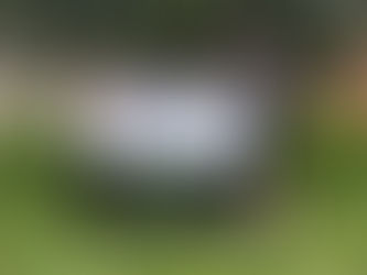 Four people smiling and holding a large check for "Wilmot School District" in a green park setting with a tree in the background.