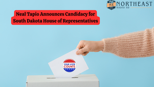 Hand inserting "Your Vote Counts" envelope into a ballot box. Text: Neal Tapio, South Dakota House candidacy announcement. Light blue background.