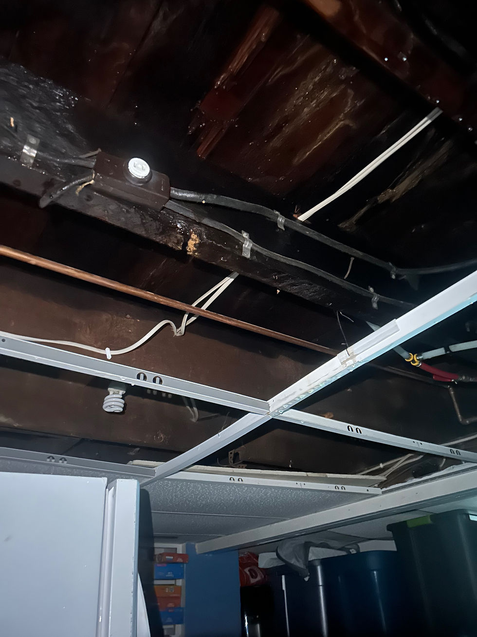 Damaged basement ceiling with exposed beams, wires, and a broken drop ceiling above storage bins.