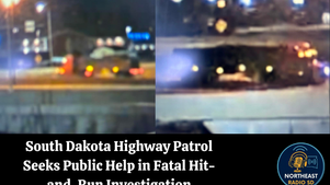 Blurry night highway scene with cars. Text: "South Dakota Highway Patrol Seeks Public Help in Fatal Hit-and-Run Investigation." Logo: Northeast Radio SD.