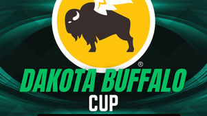 Yellow buffalo logo with wings on green background. Text: Dakota Buffalo Cup, Buffalo Wild Wings. Team logos below: Wings, Bobcats, more.