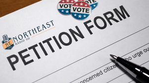 Petition form with VOTE buttons and a pen on a table, suggesting political action and voting support.