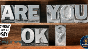 Metallic letters spell "ARE YOU OK?" on wood. Text bubbles say “It’s okay to not be okay.” City of Watertown and radio logos visible.