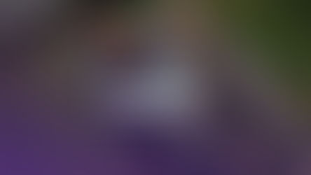 Children playing tug-of-war in a field, wearing jackets. Text reads "Royal Family KIDS Camp." Lush green background, joyful mood.